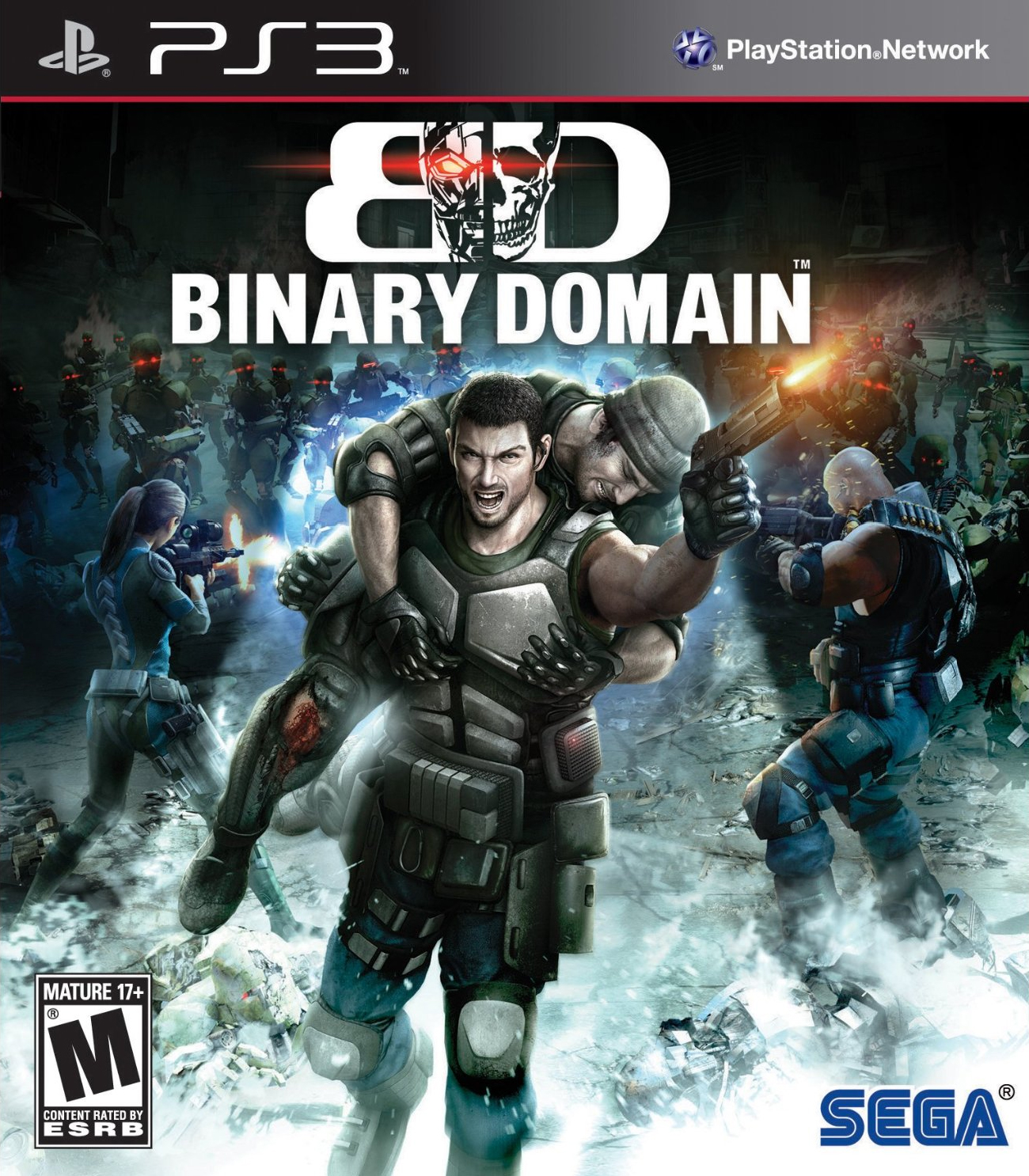 Binary Domain